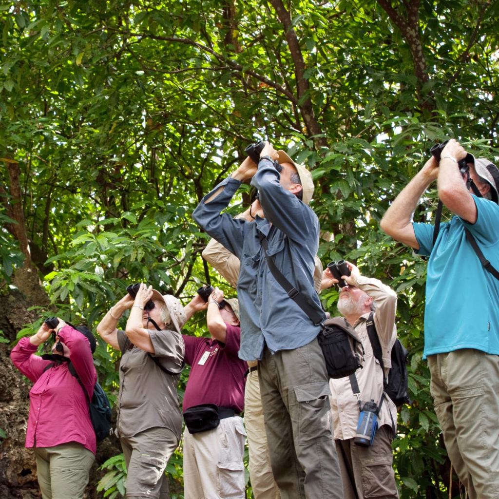 Wildlife & Birdwatching